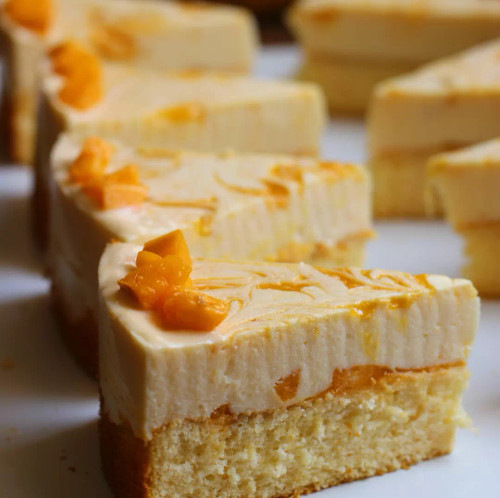 چیزکیک رژیمی پروتئینی