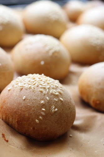 کوکی نان پروتئینی