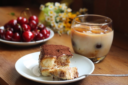 تیرامیسو پروتئینی