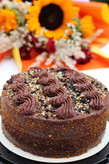 کیک های رژیمی پروتئینی (سایزمتوسط)