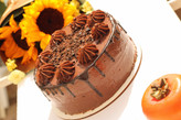 کیک های رژیمی پروتئینی (سایزمتوسط)